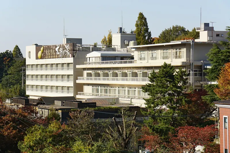 Taiko-no-yu spa, Arima Onsen