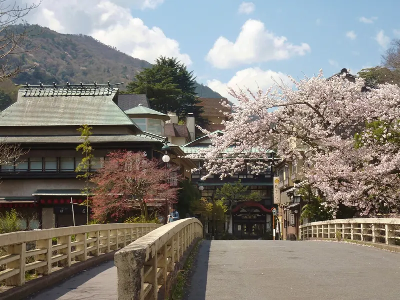 Hakone-Yumoto Onsen in cherry-blossom season