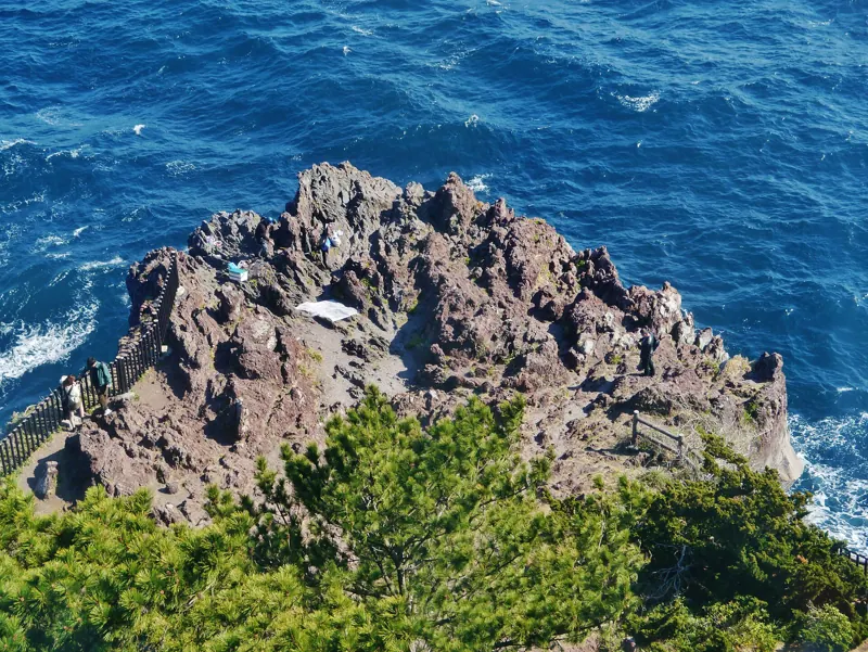 The Jogasaki Coast near Izu-Kogen (photo of the Izu-Kogen area, not of this property)