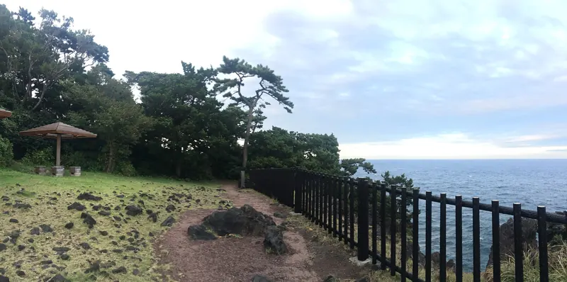 The Jogasaki Coast, Izu Peninsula Geopark