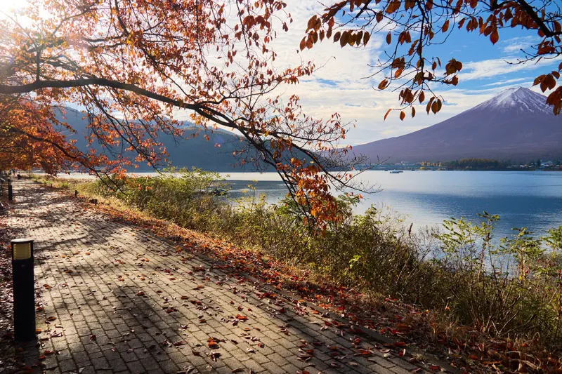 The lakeside path at Lake Kawaguchi with Mt Fuji